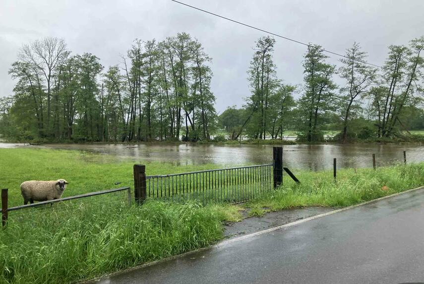 Erste Bilanz nach starken Regenfällen in Nettetal